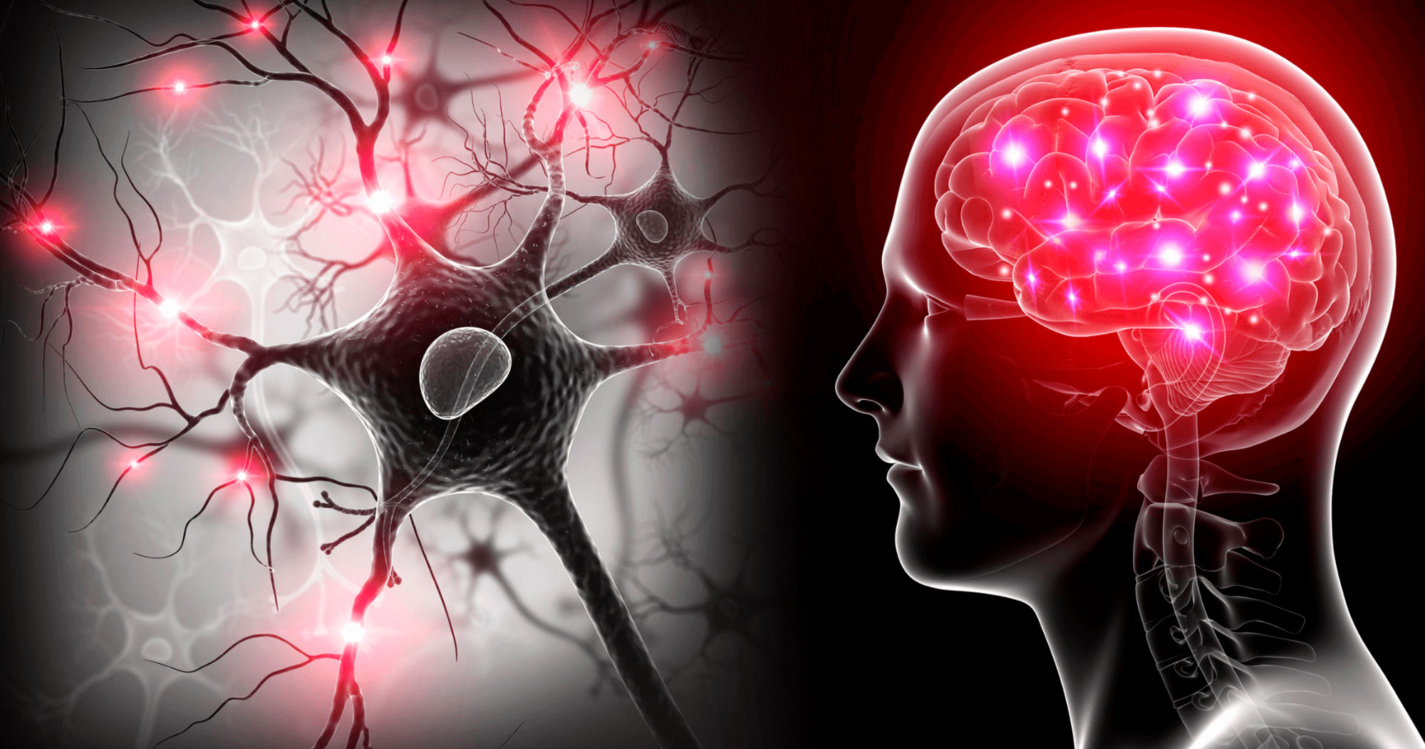 Psiconeuroinmunología (PNIE)